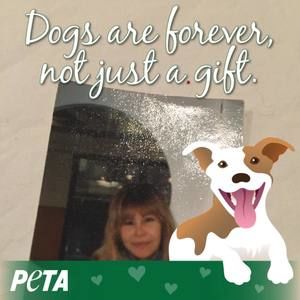 Meet your Posher, Carmel